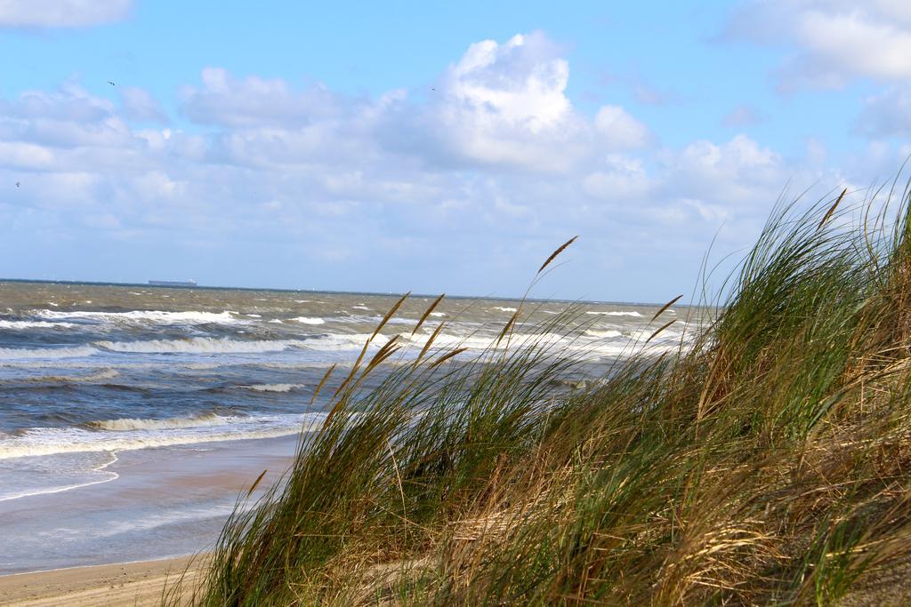Hofje Van Maas Zandvoort Exterior foto